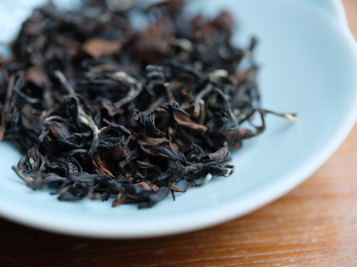 茶職人藍大誠復刻已逝老師傅手藝傳，再摘英國The Leafies世界茶葉大賽金賞