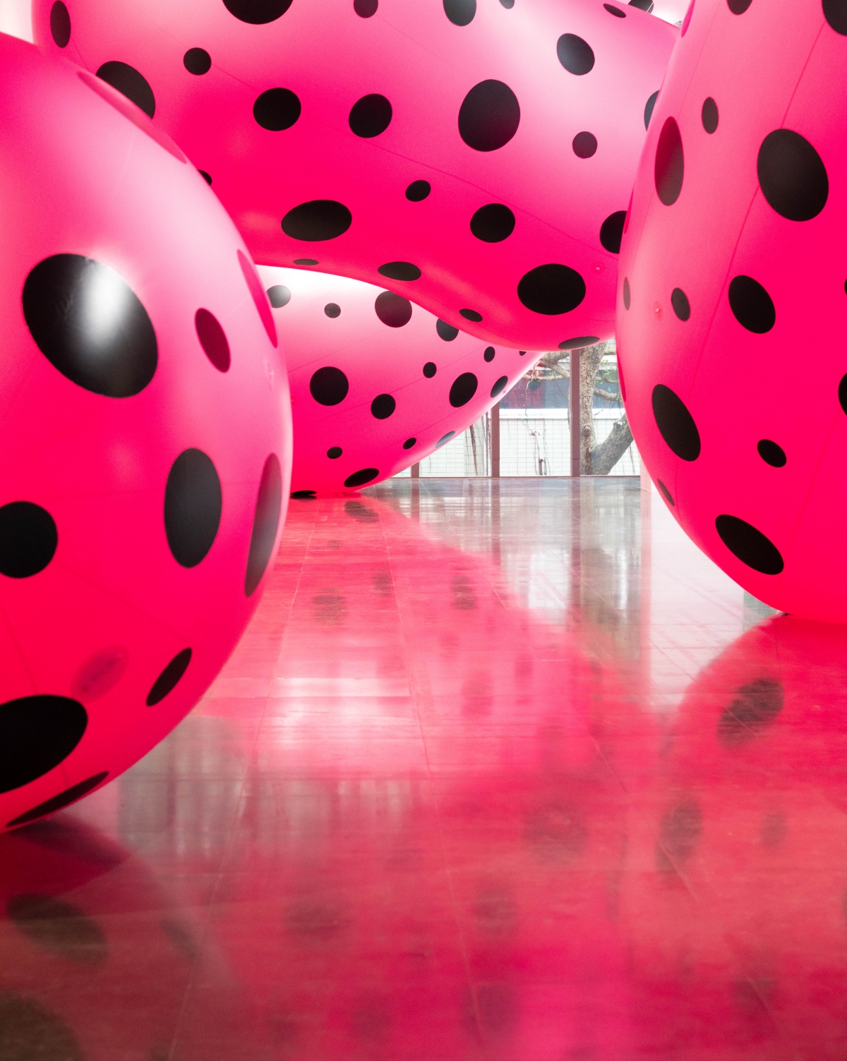 草間彌生展北師美術館登場！四大展區必看作品盤點：穿梭於《圓點的強迫妄想》感受失重感