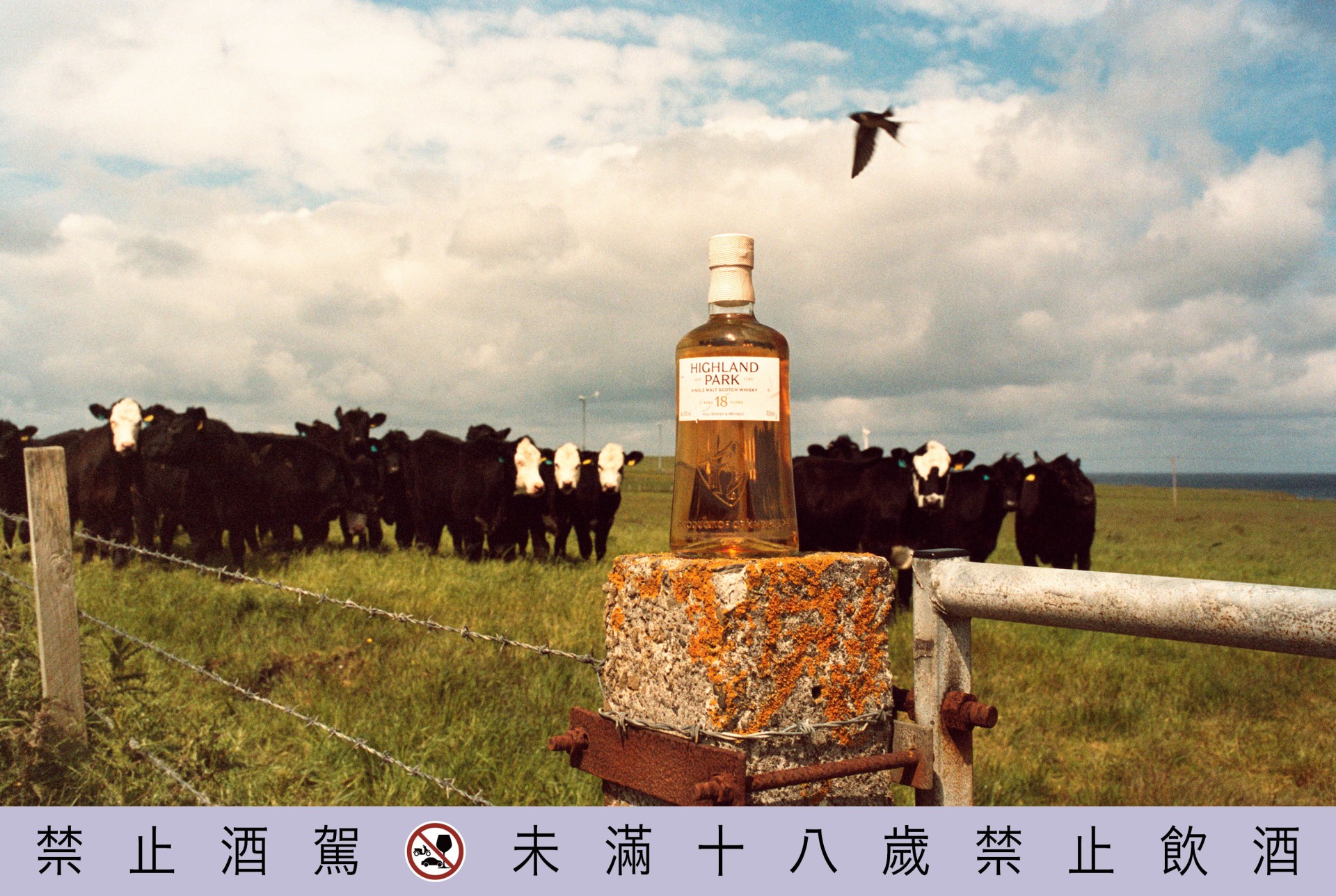 Highland Park高原騎士全新品牌形象，開啟無畏探索新篇章