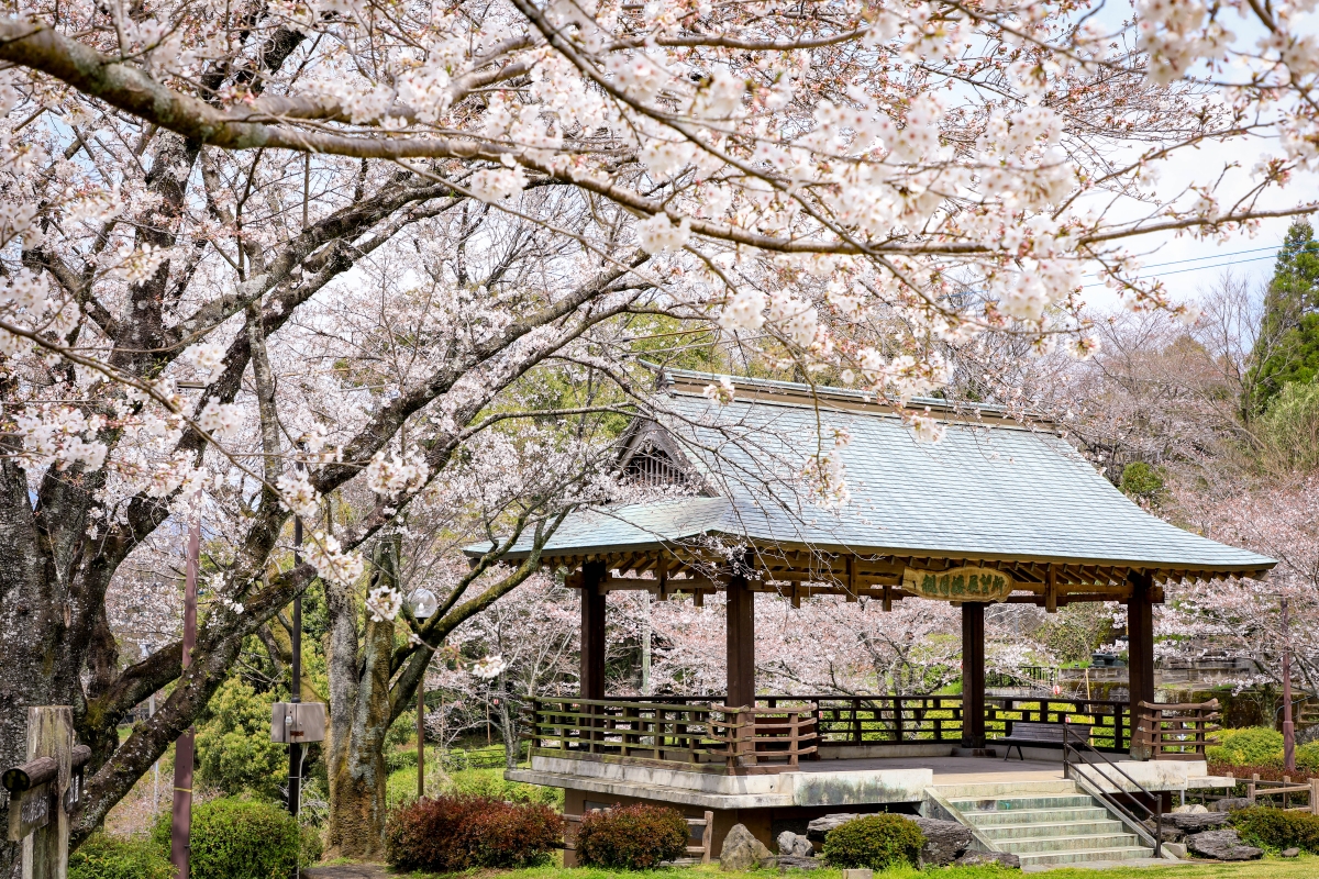 日本旅遊除了京阪神還能怎麼玩？「熊本縣菊池溫泉」、長門湯本溫泉，尋找替自己規劃一場日本泡湯旅