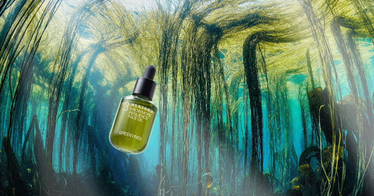 綠藤生機再次升級經典護膚油商品！綠色海洋精華油全新升級三倍緊緻撫紋力