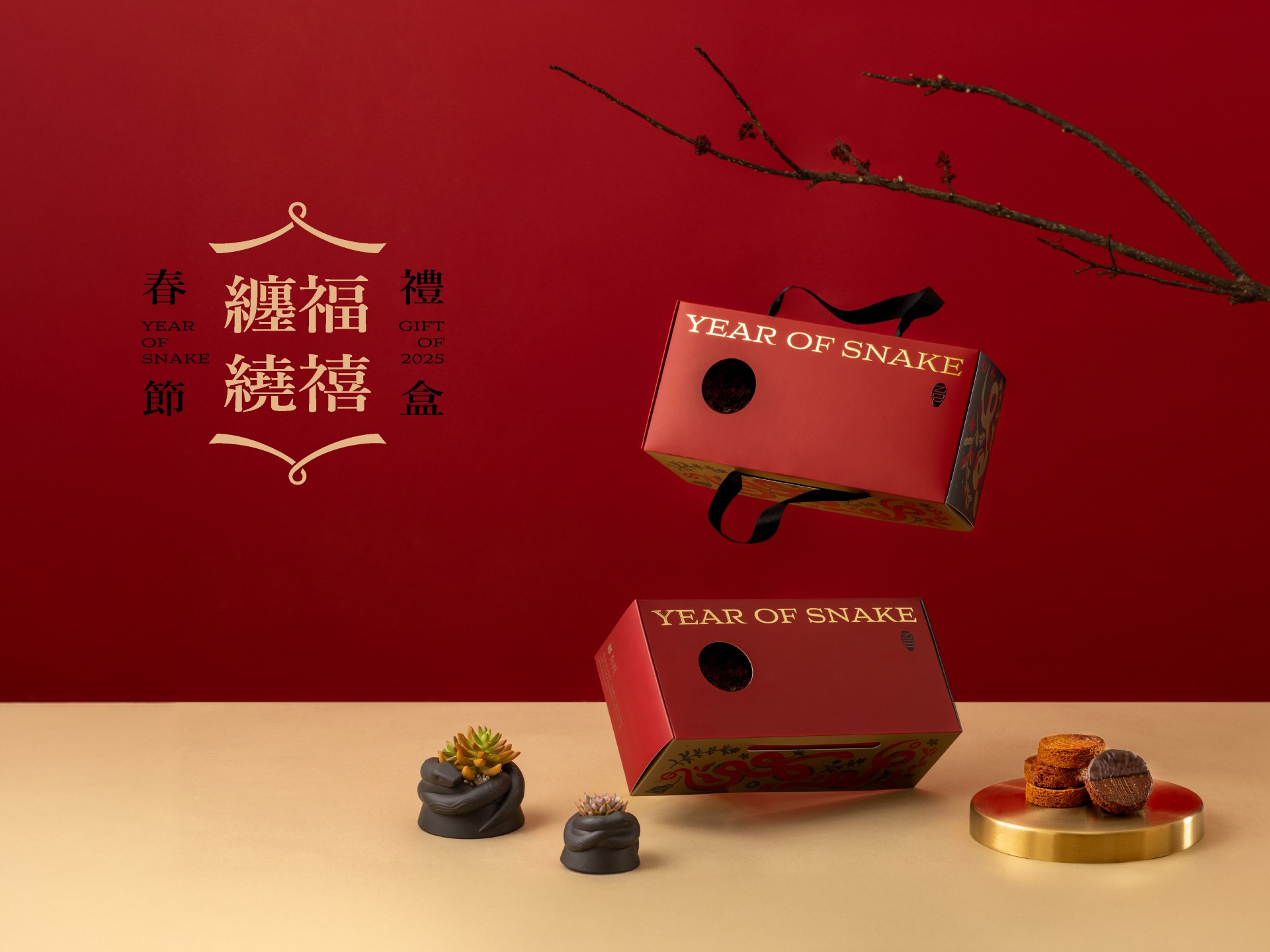 福蛇繞禧植感法式盛宴，有肉 SUCCULAND重新詮釋春節禮盒新風貌