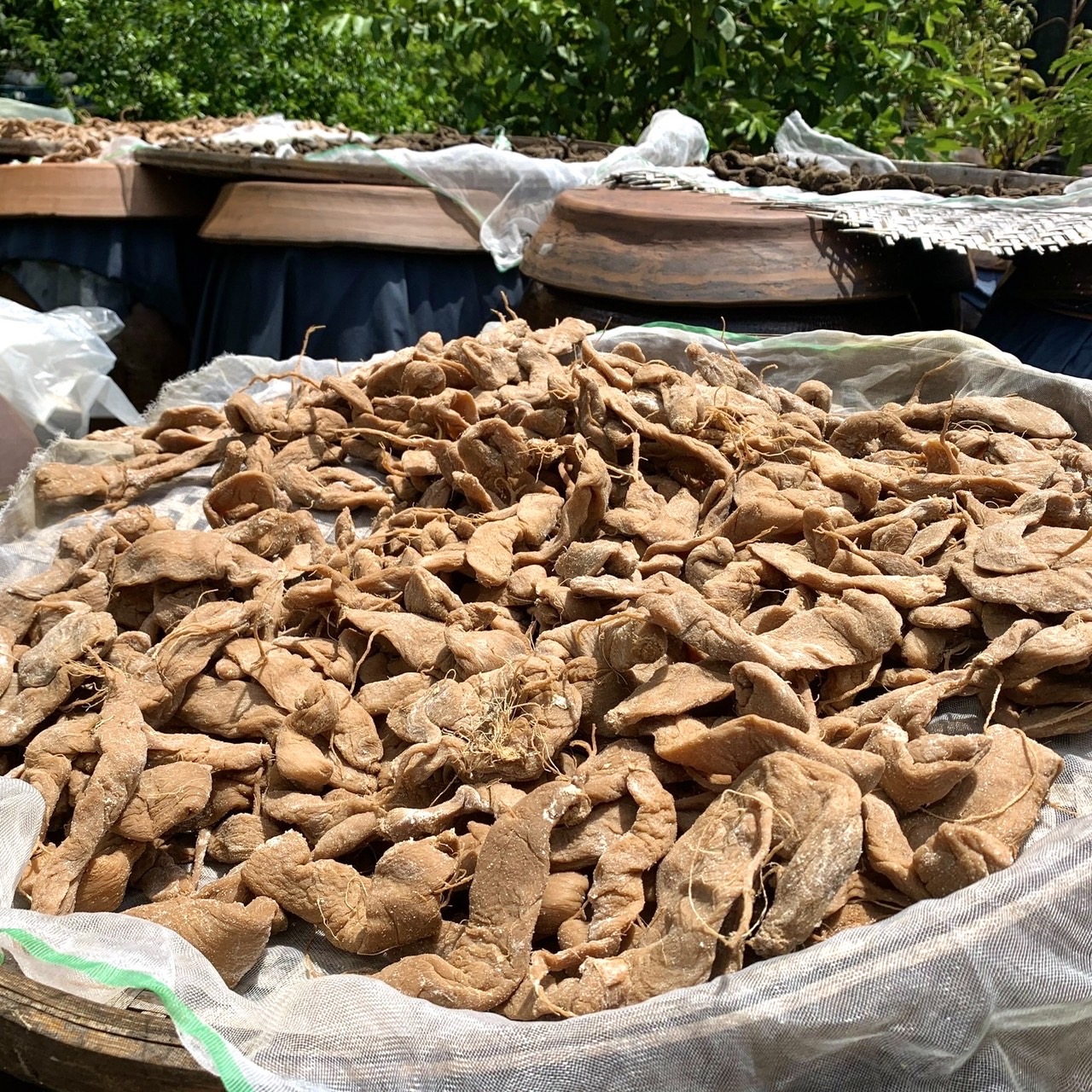 生活風格品牌The One持續泰所台灣風土，遍尋山海之間的感動滋味