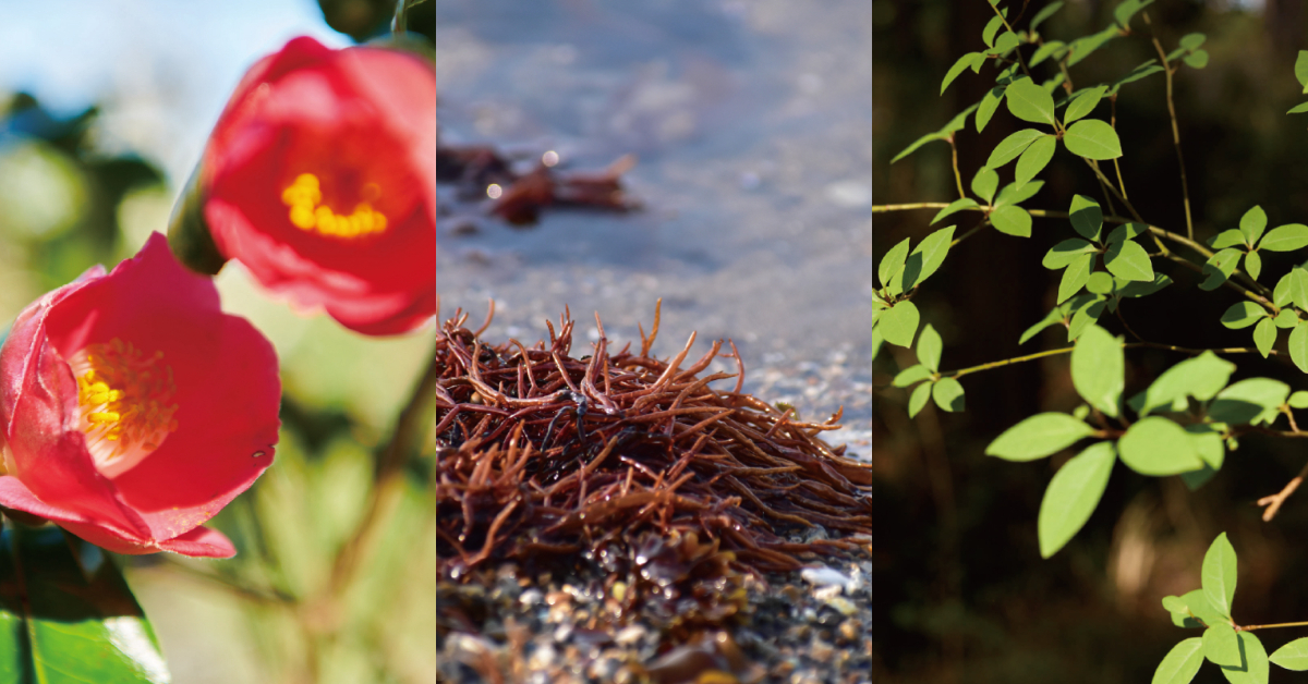 為頭皮打造健康生長的循環，uka由伊豆半島的天然植萃打造最適合亞洲人的髮品