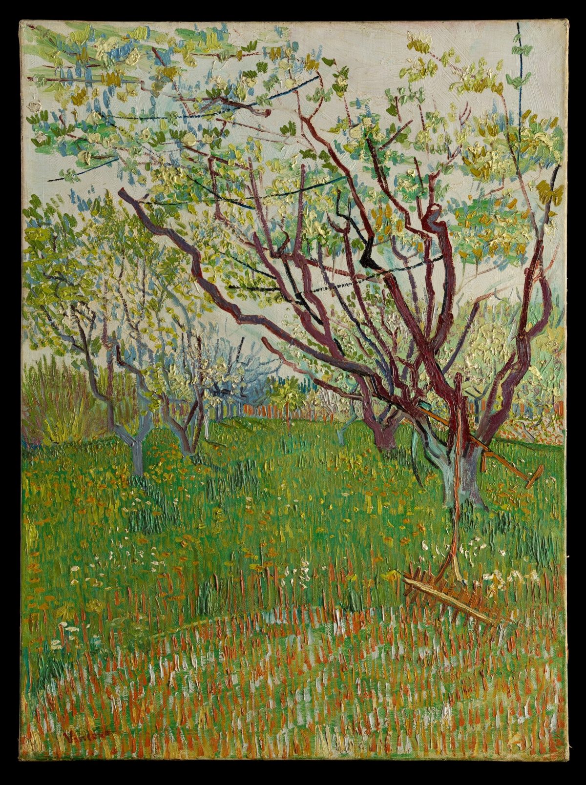 美國紐約大都會博物館81件珍品6月抵台！攜手故宮用五大展區雷諾瓦、梵谷、高更、馬諦斯等藝術大師作品