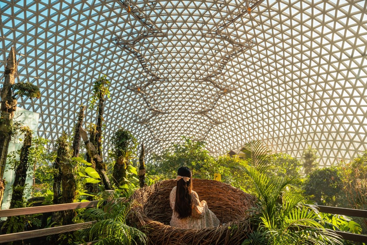 去韓國別只是首爾或釜山！慶尚南道的巨濟島、鎮海櫻花節也很好玩，4/12觀光推廣活動探詳情