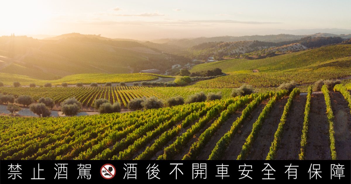 DAOU達歐莊園進軍亞洲，葡萄酒中的加州奢華正式登台
