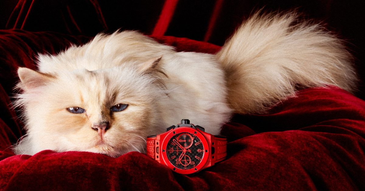 宇舶Big Bang 20週年形象曝光！時尚名貓Choupette化身代言主角