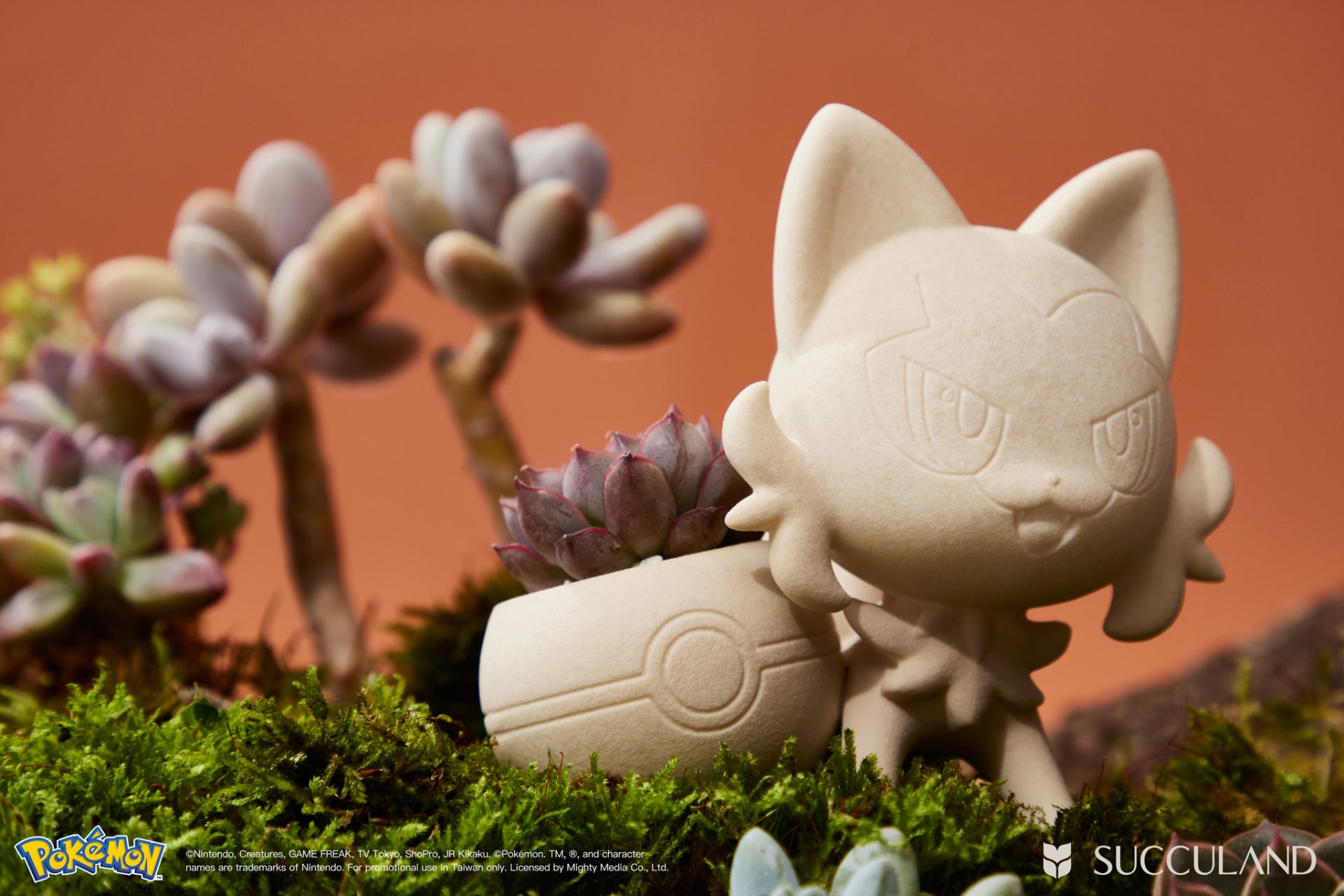 將寶可夢植入生活！SUCCULAND × Pokémon十週年官方授權系列，把冒險種子種在家中