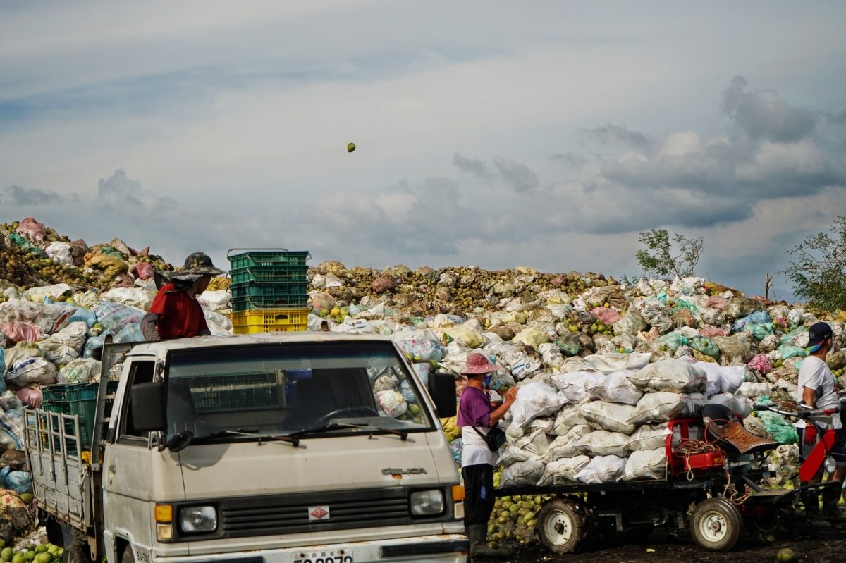 台南「謝宅」攜手文旦農推中秋禮盒：文旦、落果聞香瓶與漢方巧克力，凝聚台灣土地的韌性