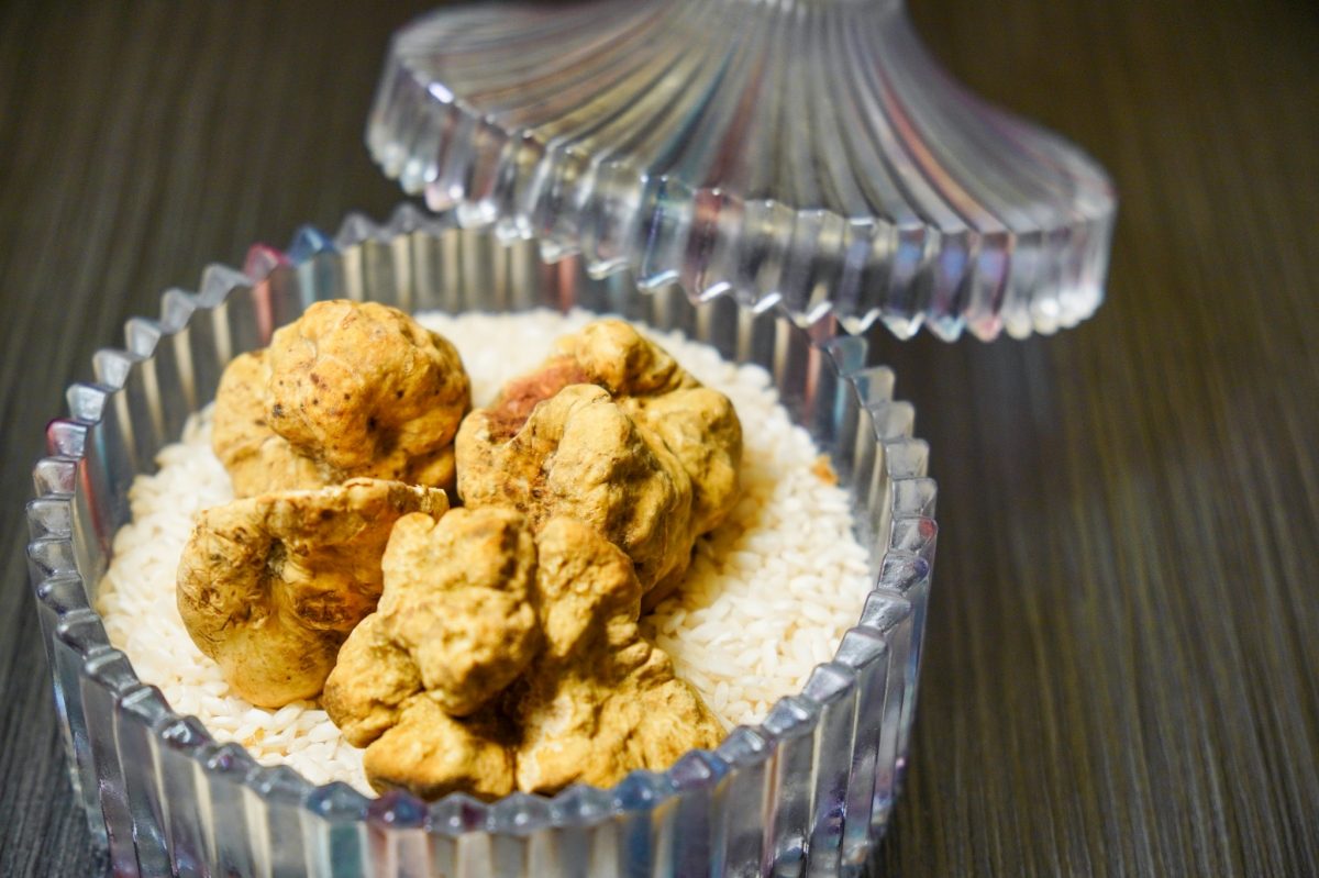 三二行館秋季新菜登場！罕見阿爾巴白松露上桌削片、鱈場蟹與藍龍蝦入菜，用山海滋味開啟秋天的味蕾