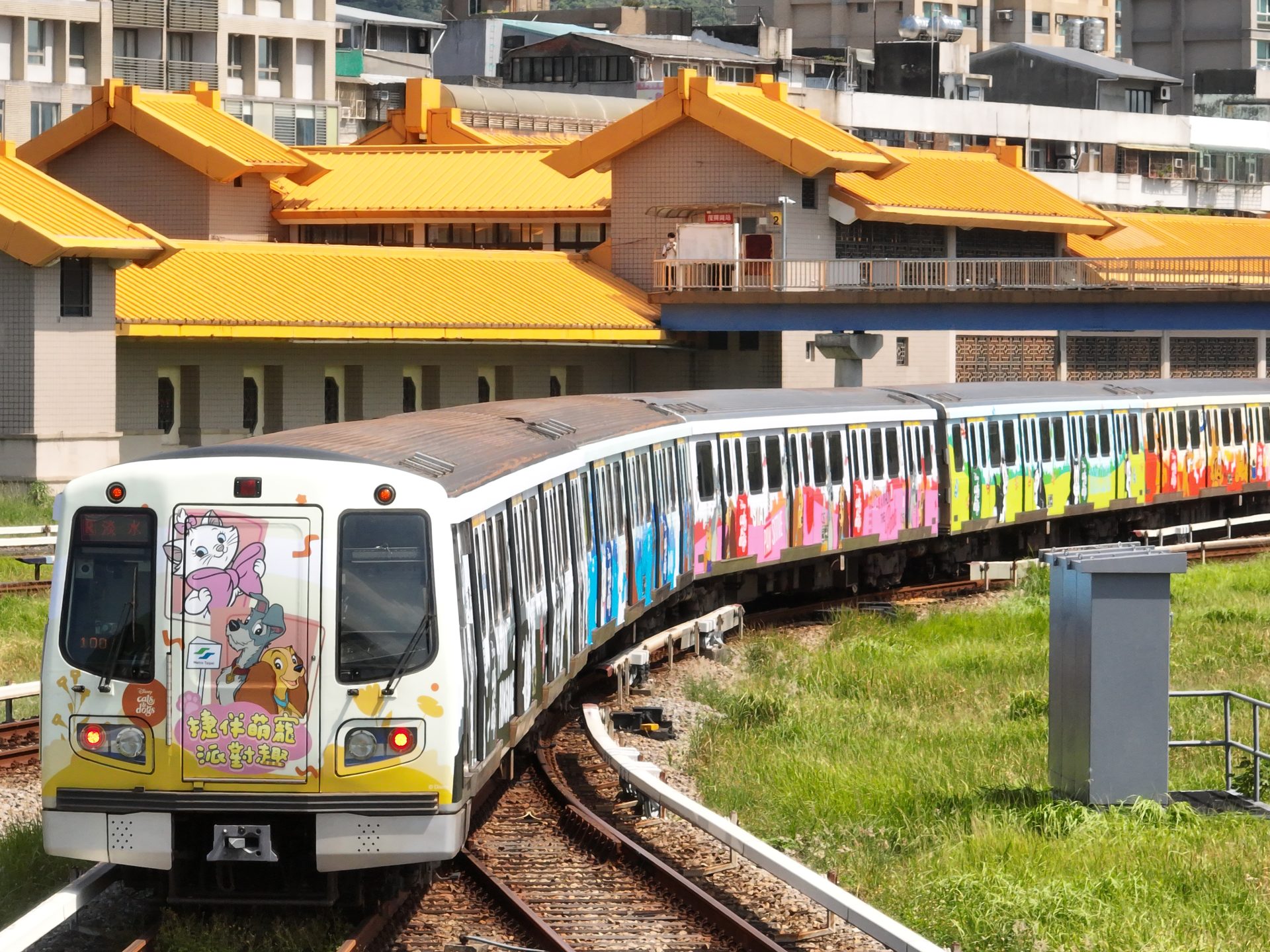 你今天拍了嗎？ 4米高酷跩「魯斯佛」成捷運大安森林公園站最佳明星，動物方程式11月中山站接力