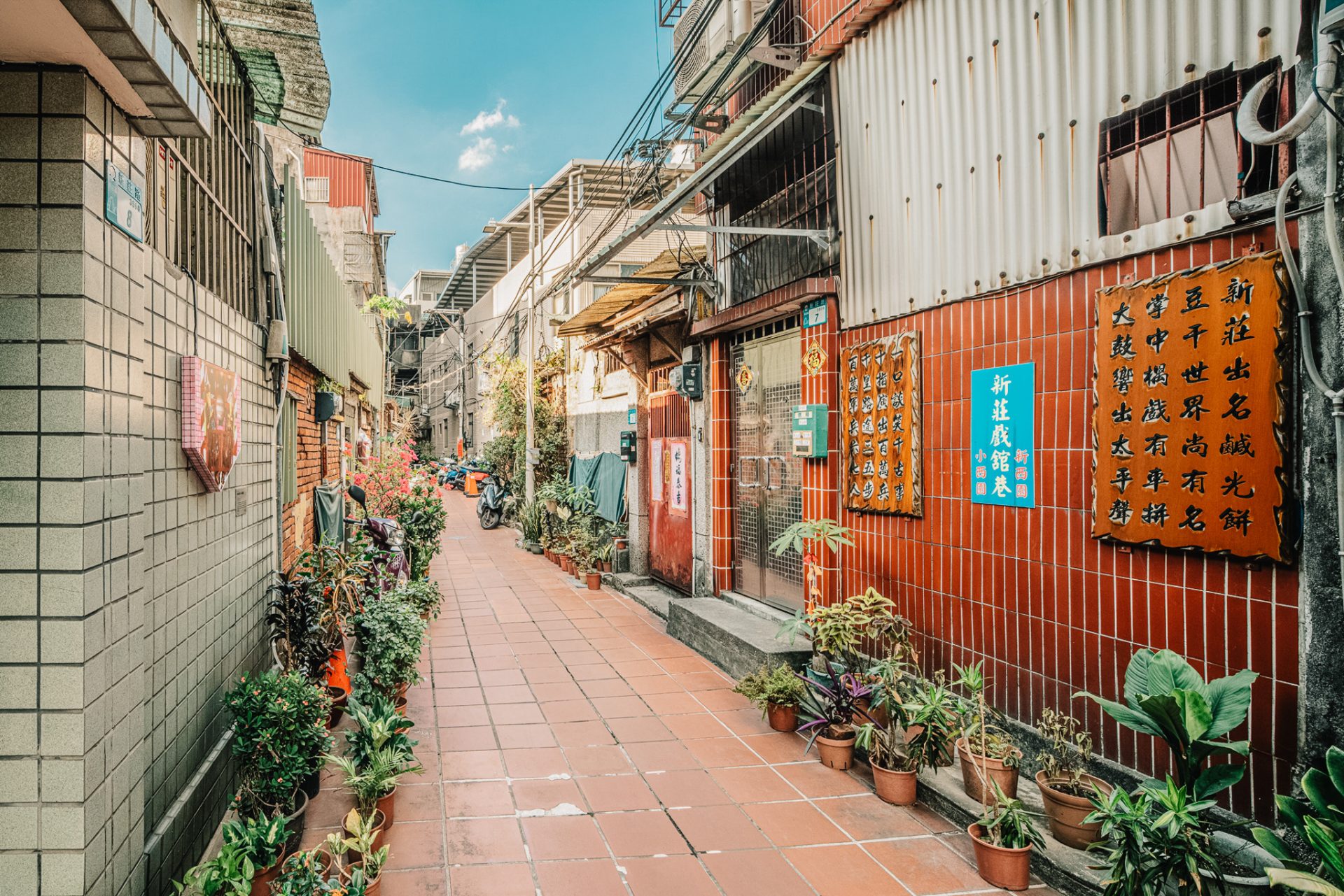 新莊廟街的藝術轉身：當藝術走入信仰日常，老街展開新的城市想像