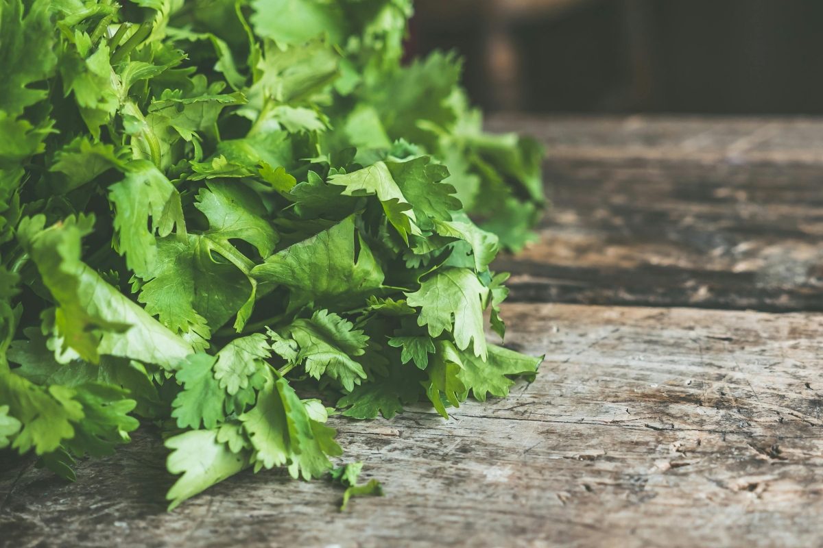 確定是有社會共識的吃法啦！哈根達斯順應民意推出「香菜花生」口味的烤冰淇淋堡