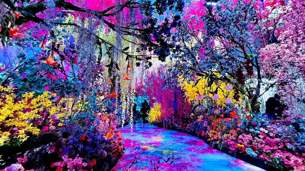 走進花與光影的魔幻裡：蜷川實花展台北華山登場，8大展區營造身處奇幻迷航的神秘愉悅感