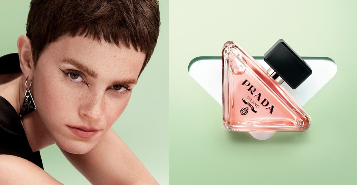 傳統香氛香材的新面貌