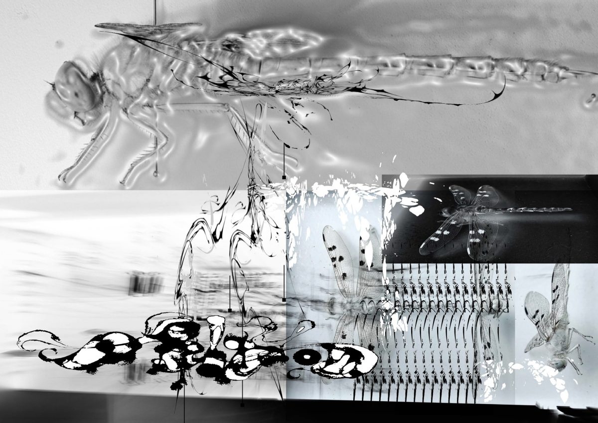 草率季十週年三大亮點：匯聚700組創作者在三月登入北藝中心、預約可聽日本知名編輯都築響一講座