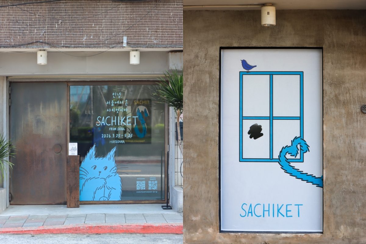 這隻藍色貓咪重新定義療癒與可愛！韓國藝術家Haydonna新角色「Sachiket」首展登場